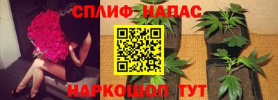 прущая мука Кимры