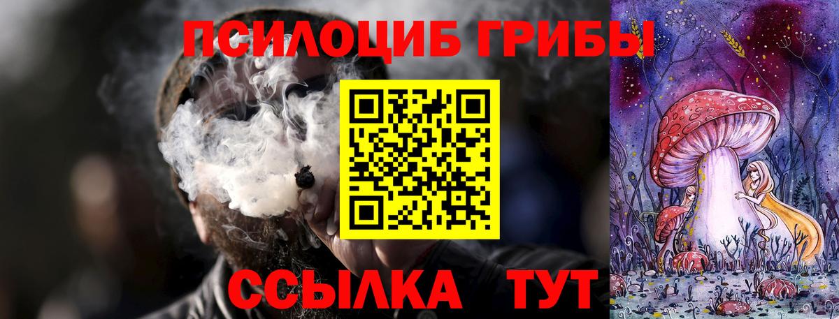 Чапаевск  Псилоцибиновые грибы мицелий  Вход с VPN 