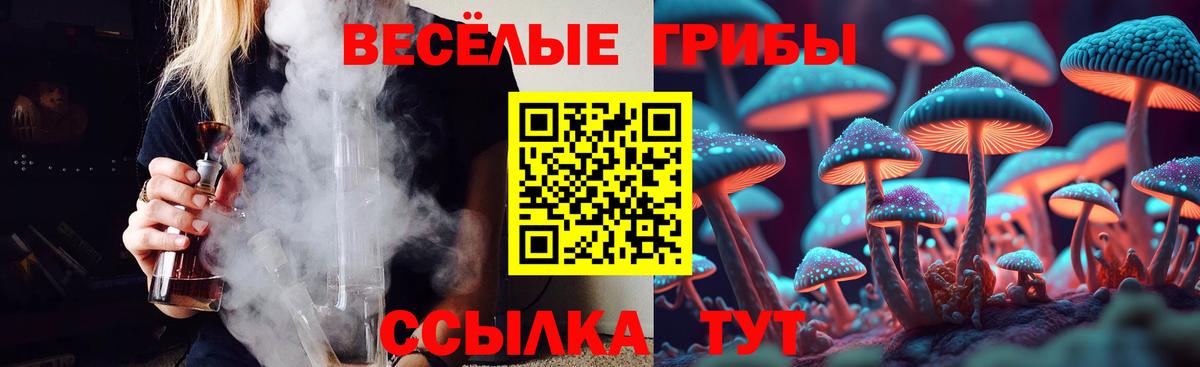 Галлюциногенные грибы GOLDEN TEACHER Чапаевск